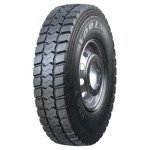 Forza REG T